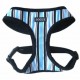 Dogue Harness- Blue Stripes